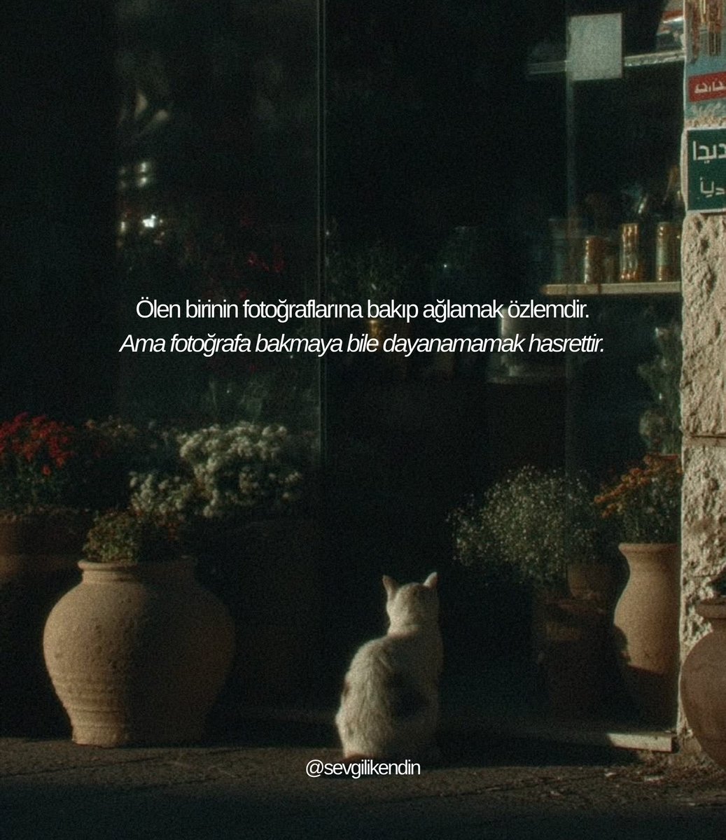 sevgilikendin's tweet photo. https://t.co/lOo8t9OYba