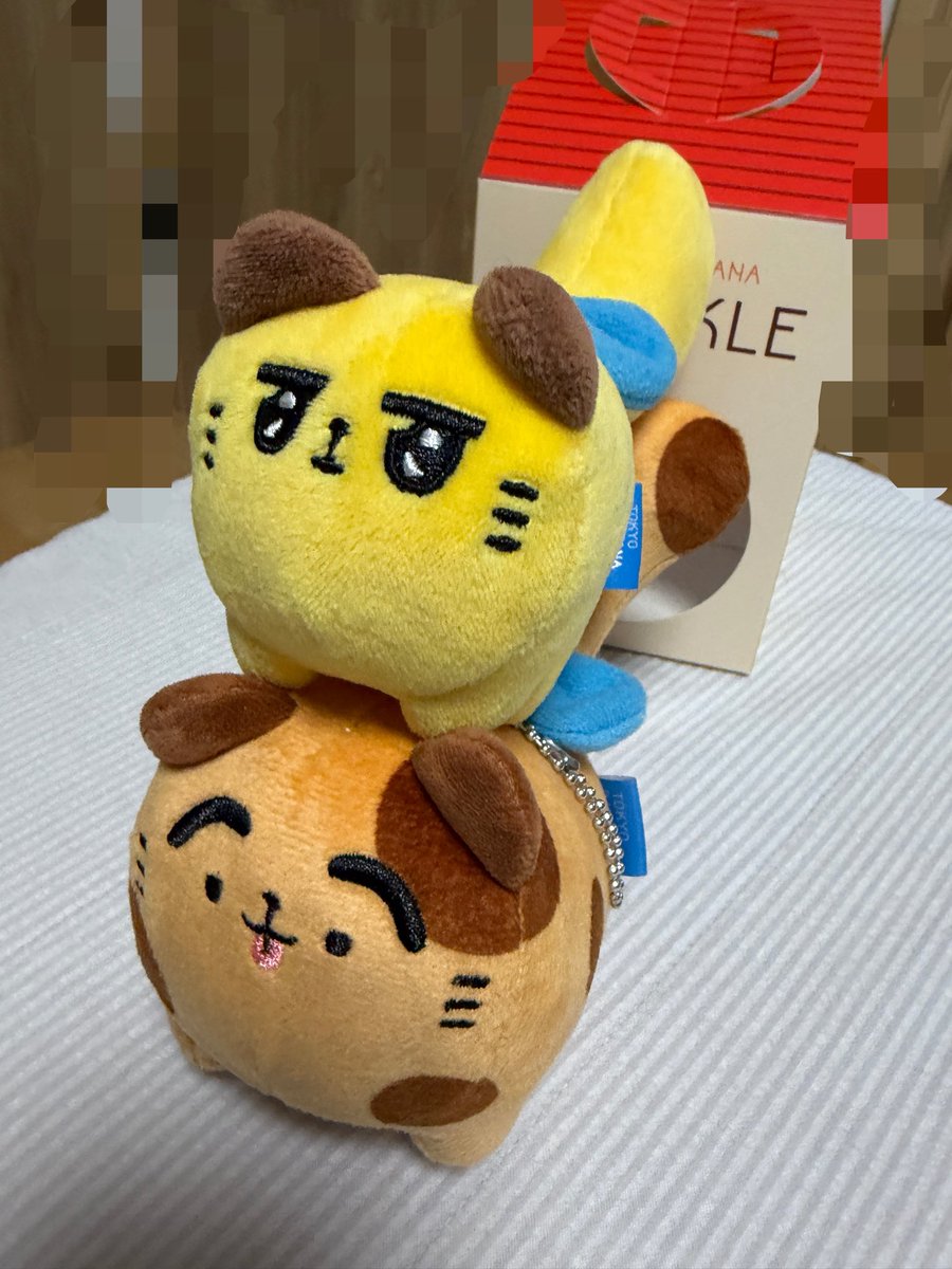 Sacchon79's tweet photo. んで、今日は帰宅したら…！届いてる〜ちゃんくる〜！！！んかわいい…！！！ばにゃよりちょっと大きくて…！自認猫の犬ってとこで面白すぎるし、めっちゃばにゃと一緒だと可愛い…！！ https://t.co/rM8Qy2NvXC