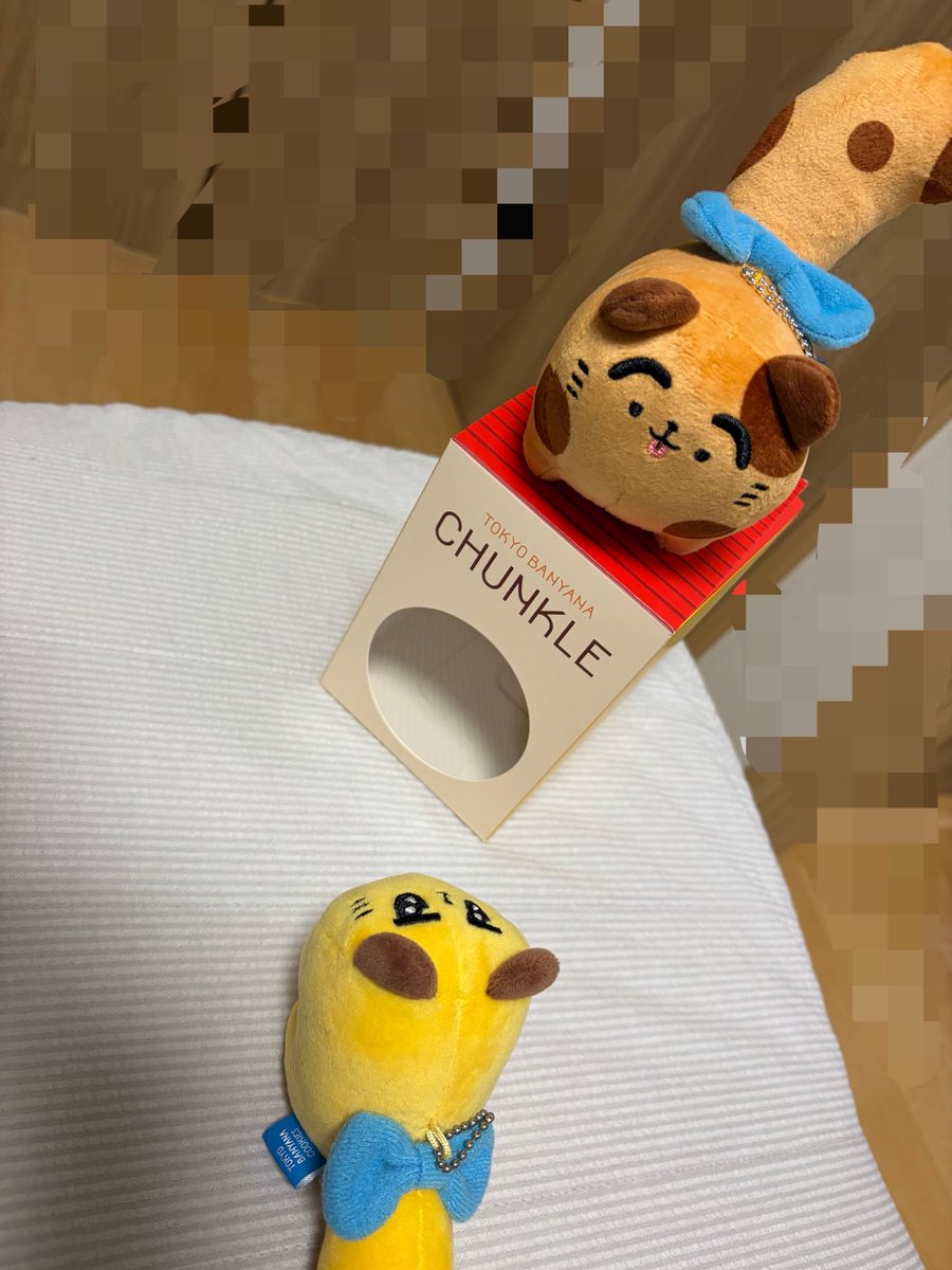 Sacchon79's tweet photo. んで、今日は帰宅したら…！届いてる〜ちゃんくる〜！！！んかわいい…！！！ばにゃよりちょっと大きくて…！自認猫の犬ってとこで面白すぎるし、めっちゃばにゃと一緒だと可愛い…！！ https://t.co/rM8Qy2NvXC