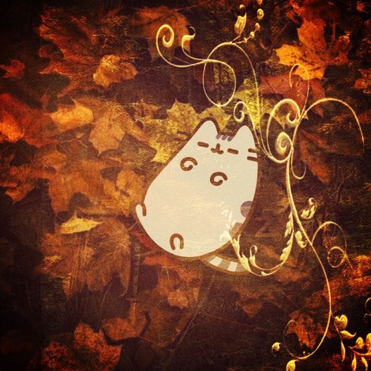happyvvy's tweet photo. How does Pinterest see you(I love these aaa)?
•pusheen
•eyeshadow
•pattern
•dessert

Highkey love it icl esp since I love star imagery- https://t.co/CbUHdibKbX