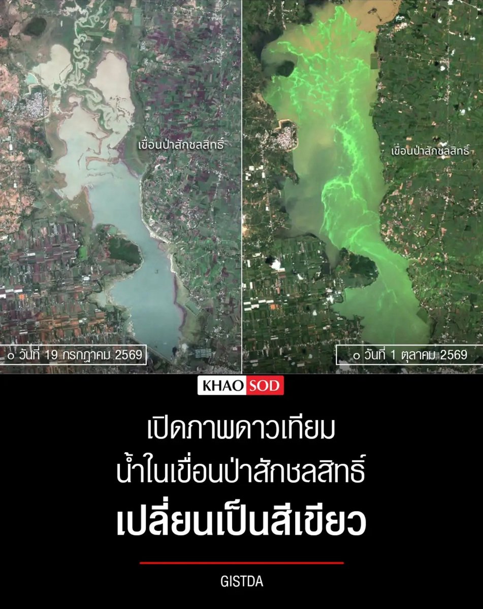 TarotYouuuu's tweet photo. ทุกคนครับช่วยกันติดตามเรื่องนี้ด้วย น้ำในเขื่อนปาสัก เปลี่ยนแปลงเป็นสีเขียวแล้ว น้ำในเขื่อนเอ่อล้นแล้วด้วย ขอให้เตรียมตัวไว้ ช่วยกันติดตามด้วยนะครับ !!!!!!

#โหนกระแส
#น้ำท่วม  #น้ําท่วม2569 https://t.co/XHtYDsybKw