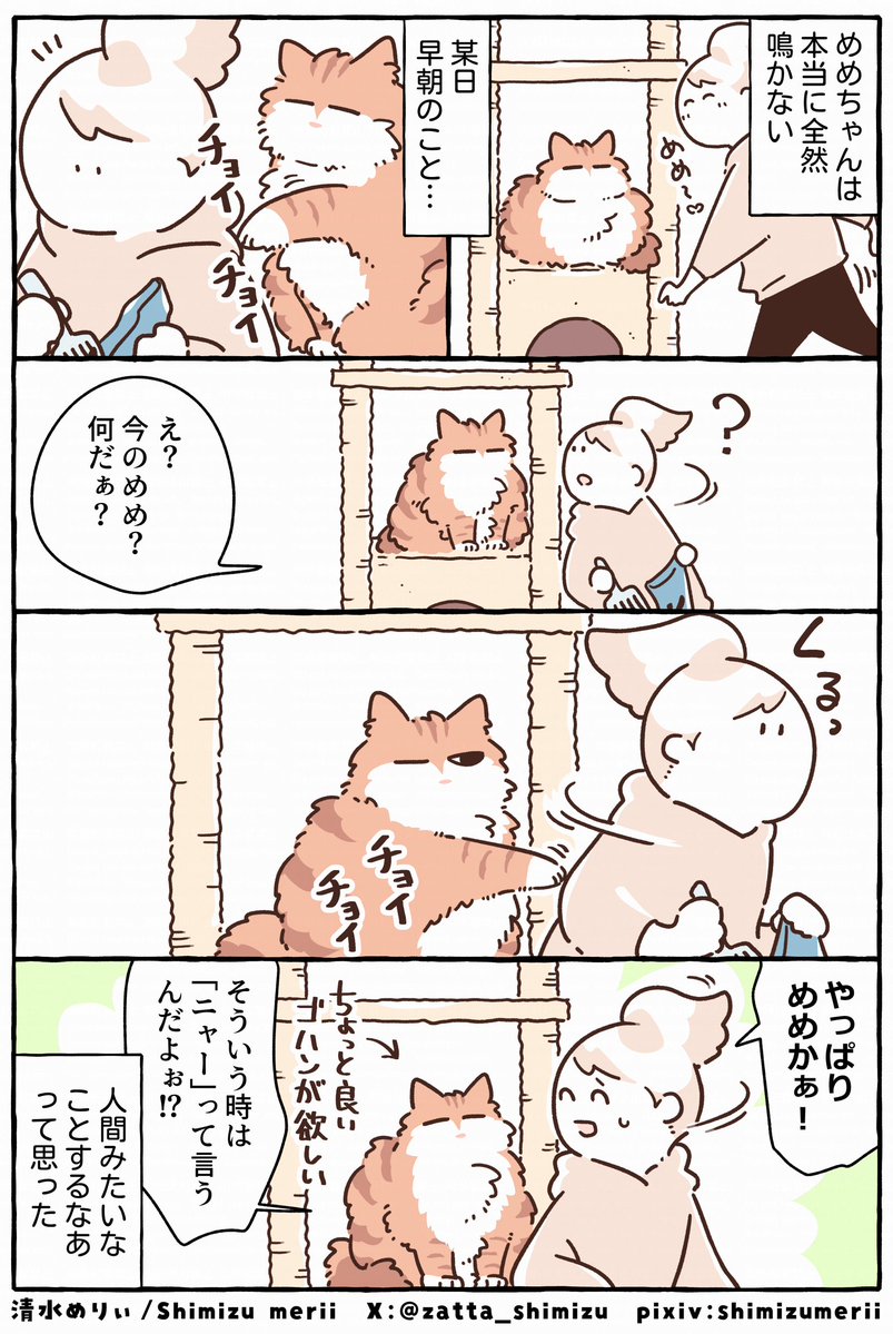 zatta_shimizu's tweet photo. 猫との意思疎通はむずかしい… https://t.co/uMr96nbSK2