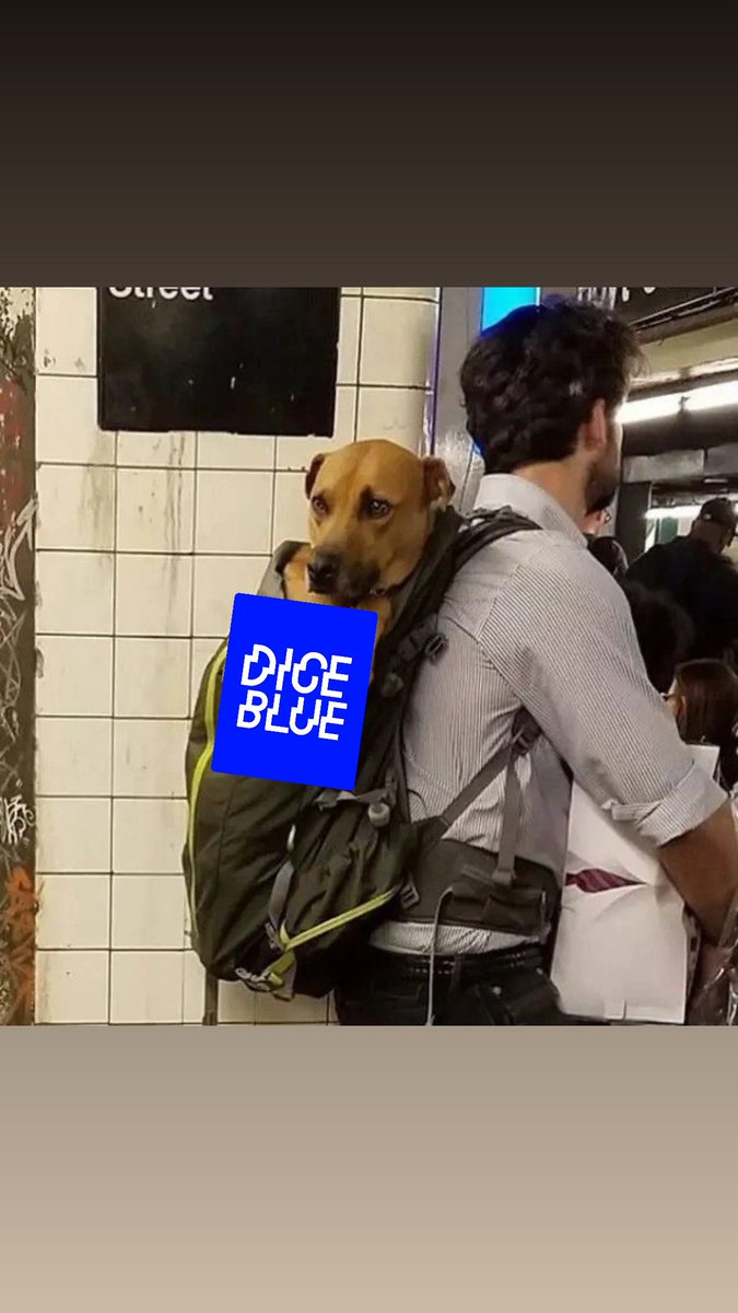 Fridaymorning0's tweet photo. แม่ม๋าพร้อมเลี้ยงม๋าเด็กแล้วคับบบ

#DICEBLUEรอSIS
#DICEBLUE
#DICE_SONRAY
#SONRAYMUSIC https://t.co/BcSxqjZgpa