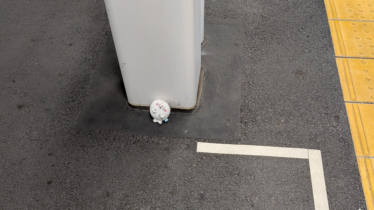 voice_of_ten's tweet photo. 舞浜駅においていかれてしまったナガノのアザラシ https://t.co/SWoXmz22Tw