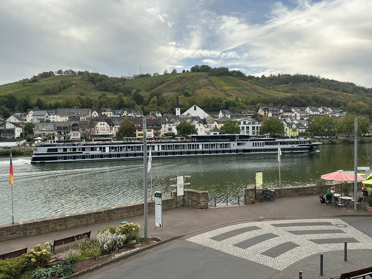 mammatusman's tweet photo. Good #Morning from Zell, #Germany, on the #MoselRiver. #wine #winecountry https://t.co/ByCszfAlZ2
