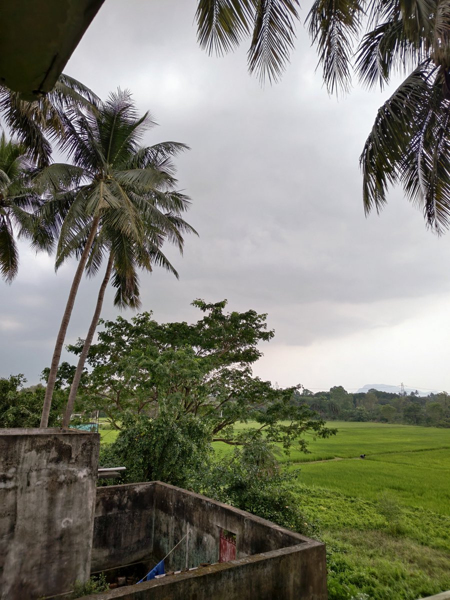 CleverLiza98's tweet photo. Hamare yahan per bahut sare Kale Badal chhae Hain lagta Hai Kisi bhi waqt barish shuru ho jaega... https://t.co/bNMIDNVKO0
