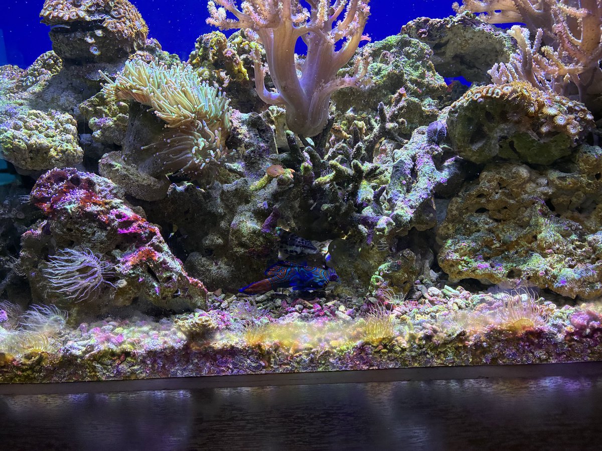 Lenie_Index's tweet photo. 今日も楽しかった♪ありがとう〜🐟 https://t.co/L6CccslKI5