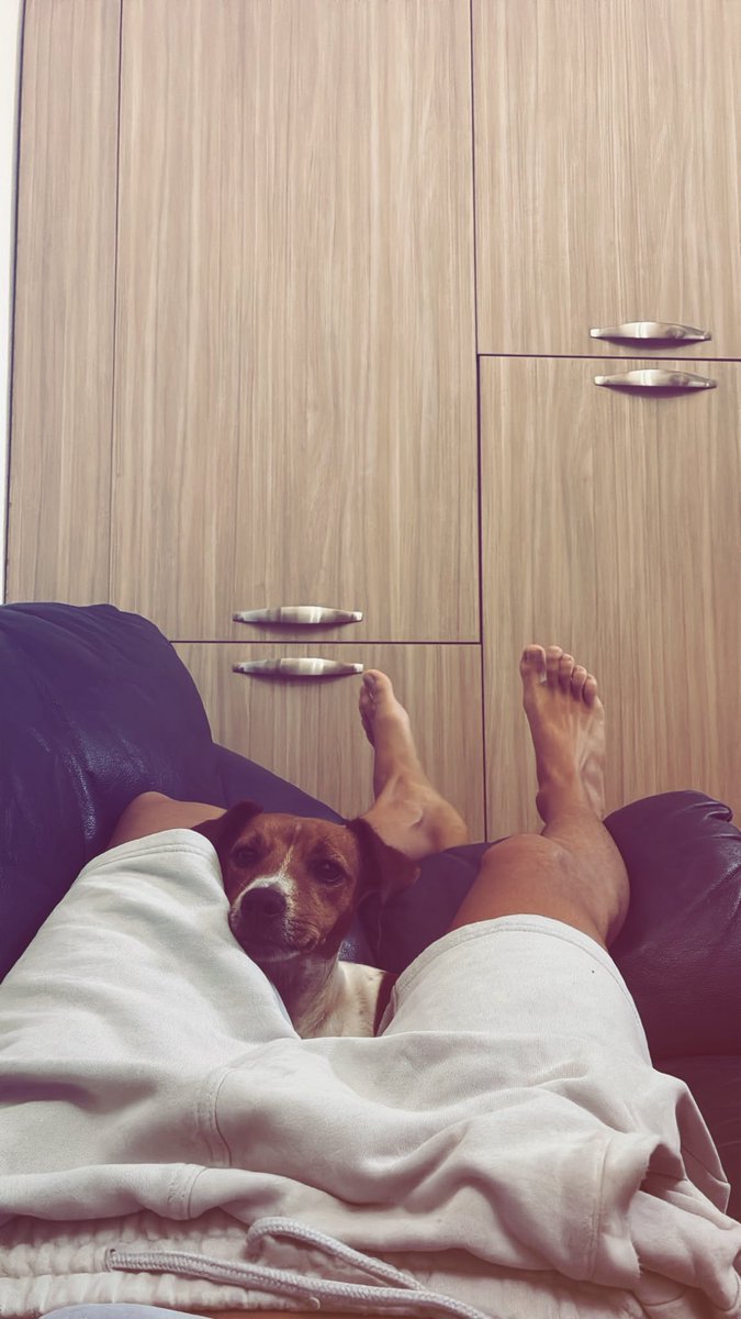andrialfano's tweet photo. dal letto al divano… https://t.co/VggNvrPhUQ