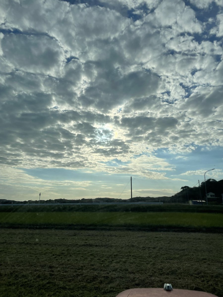 BLACKkome96's tweet photo. 「今日の草刈り（トラクターから）」の写真🌱

8月下旬に稲刈り終わった田んぼの草刈り。

如何に真っ直ぐ刈れるか自分と戦っていますが、
皆さまは心掛けていること、またコツなどはございますか？🚜 https://t.co/uWlQCKwM7q