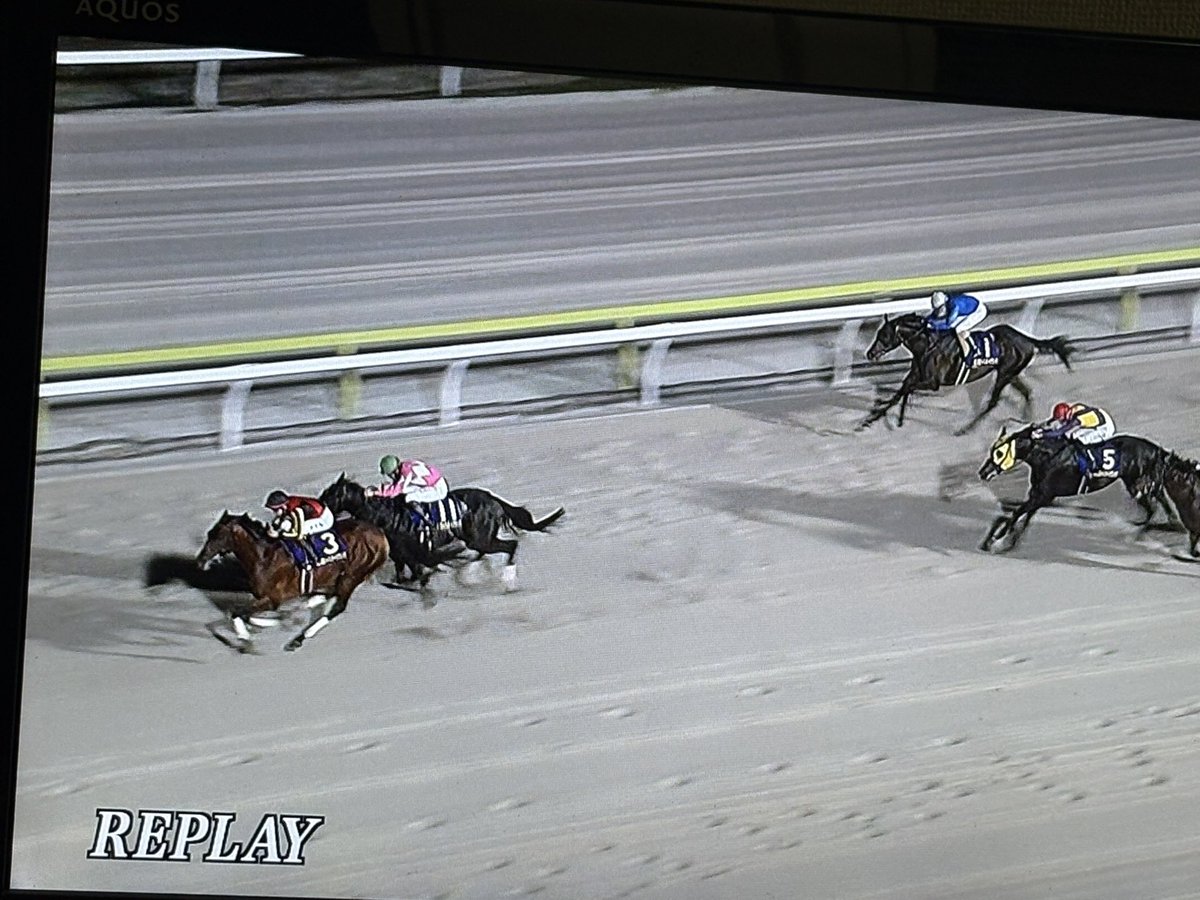 yoshi1053_1287's tweet photo. ジャパンダートクラシックはシルバーレシオが東京ダービーの悔しさを晴らして優勝！二冠馬のフィンガーと１番人気のイッテラッシャイは着外 https://t.co/7bkrsoED6x