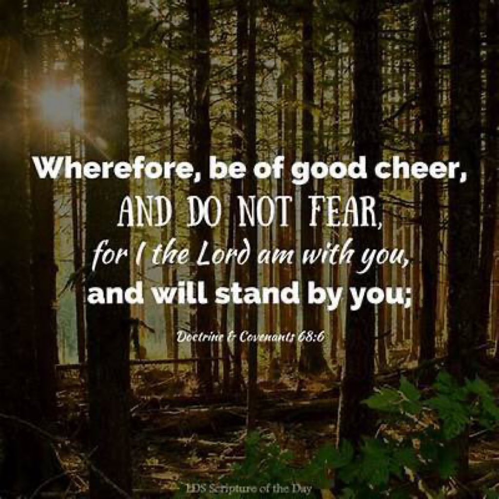 JeanineElsholz's tweet photo. In the words of Jeffrey R. Holland—

“The Lord has probably spoken enough “comforting words” to supply the whole universe, it would seem, and yet we see all around us unhappy Latter-day Saints, worried Latter-day Saints, and gloomy Latter-day Saints into whose troubled hearts not one of these innumerable consoling words seems to be allowed to enter. 

Consider, for example, the Savior’s benediction upon his disciples even as he moved toward the pain and agony of Gethsemane and Calvary. 

On that very night, the night of the greatest suffering the world has ever known or ever will know, he said, “Peace I leave with you, my peace I give unto you. . . . Let not your heart be troubled, neither let it be afraid” (John 14:27).

I submit to you that may be one of the Savior’s commandments that is, even in the hearts of otherwise faithful Latter-day Saints, almost universally DISOBEYED; 

And yet I wonder whether our resistance to this invitation could be any more grievous to the Lord’s merciful heart. 

I am convinced that none of us can appreciate how deeply it wounds the loving heart of the Savior of the world when he finds that his people do not feel CONFIDENT in his care or SECURE in his hands or trust in his commandments.

Just because God is God, just because Christ is Christ, they cannot do other than care for us and bless us and help us if we will but COME UNTO THEM. 

There is not a single loophole or curveball or open trench to fall into for the man or woman who walks the path that Christ walks. 

When he says, “Come, follow me”, he means that he knows where the quicksand is and where the thorns are and the best way to handle the slippery slope near the summit of our personal mountains. 

He knows it all, and he knows the way. 

HE IS THE WAY!

He wishes us to come unto him, to follow him, to be comforted by him. 

May we have enough faith to ACCEPT the goodness of God and the mercy of his Only Begotten Son. 

May we come unto him and his gospel and BE HEALED. 

When the storms of life make this difficult, may we still follow his bidding to “come,” keeping our eye FIXED ON HIM forever and single to his glory. 

In doing so we too will walk triumphantly over the swelling waves of life’s difficulties and remain unterrified amid ANY rising winds of despair.

I pray we will hear this very night that sweet utterance from the Savior of the world: “Come unto me, all ye that labour and are heavy laden. . . . And ye shall find rest unto your souls—

BE OF GOOD CHEER; 
it is I; be not afraid!”

(BYU Devotional, March 1997)