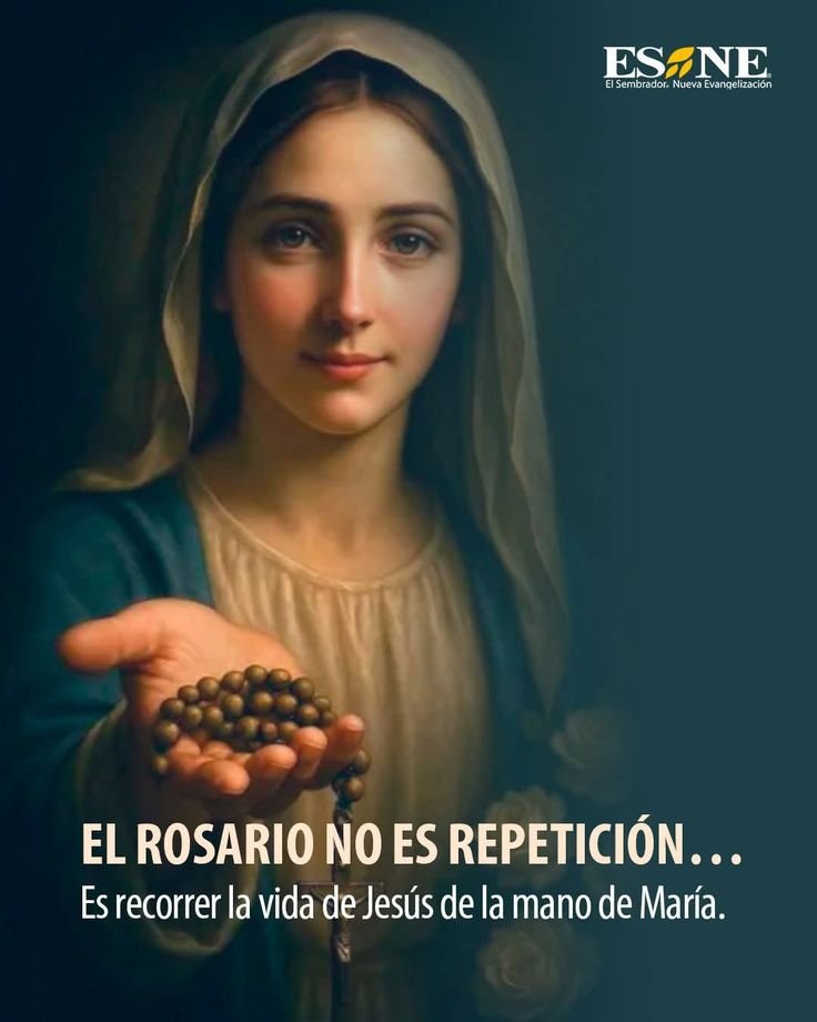 Viola27Rita's tweet photo. Santísima Virgen María, 
Nuestra Señora del Rosario, Madre de Dios y Madre nuestra,  ruega e intercede por nosotros que recurrimos a ti, y por la paz y la concordia en el mundo🙏🌎

Salud, paz y bien para todos🌿🌎 https://t.co/eyXBF5nsfA