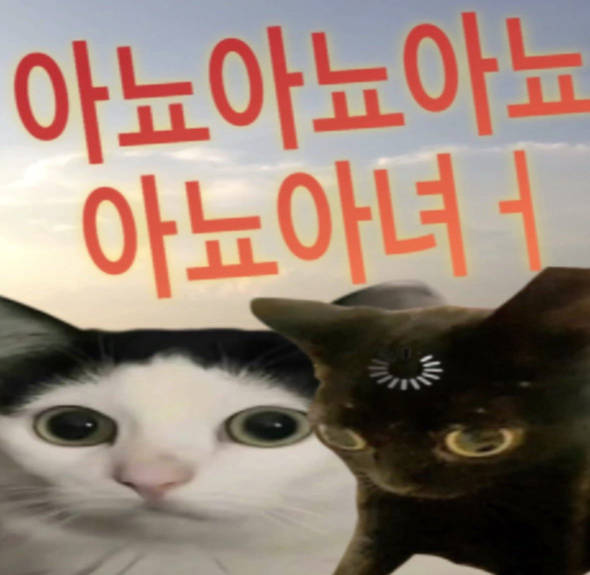 Satanism_badass's tweet photo. 심심해서 셀카찍음 https://t.co/RydPLDWwoI