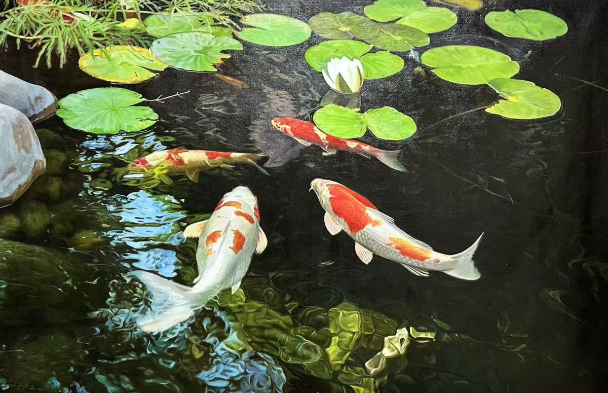 KueTalas's tweet photo. This morning I saw a beautiful koi fish with unique 矣匀涟锌 patterns swimming in the pond, making my day so peaceful. https://t.co/JtzAhVSoSK