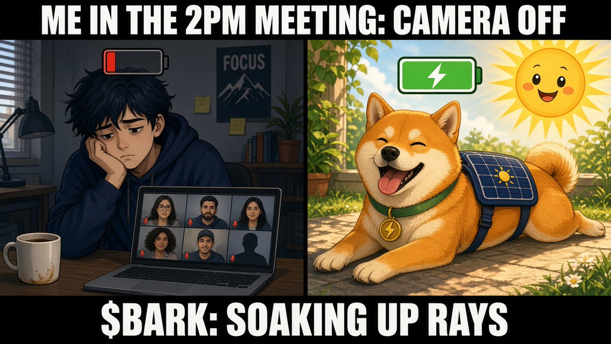 Barksolardog's tweet photo. Me in the 2PM meeting: camera off. $BARK: soaking up rays ☀️🐶 #Solana #SolarPunk https://t.co/abmiKsfyF7