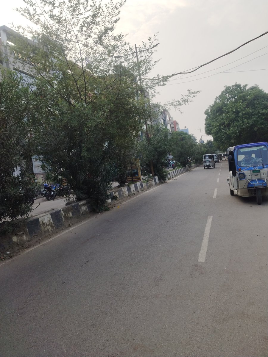 rajitmishra94's tweet photo. @Pradeep45388111 @Sushma_Kharkwal @LMC_Lucknow @SBM_UP @myogioffice @aksharmaBharat @narendramodi @rajnathsingh @yadavakhilesh @ssrajputINC @Manojkmr_singh Sir near SKD hospital ke pass lage diwaida par ped ki gach itni fayal rahi hai  jiske karan roj koi na koi durghatna ho rahi hai kripa ise chatwane ki kripa kre https://t.co/H8RkOH9OYJ