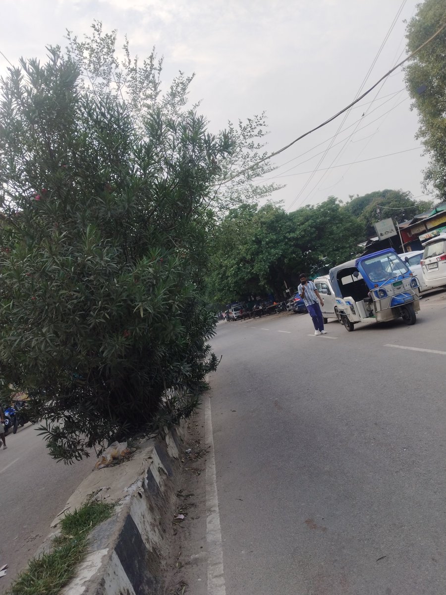 rajitmishra94's tweet photo. @Pradeep45388111 @Sushma_Kharkwal @LMC_Lucknow @SBM_UP @myogioffice @aksharmaBharat @narendramodi @rajnathsingh @yadavakhilesh @ssrajputINC @Manojkmr_singh Sir near SKD hospital ke pass lage diwaida par ped ki gach itni fayal rahi hai  jiske karan roj koi na koi durghatna ho rahi hai kripa ise chatwane ki kripa kre https://t.co/H8RkOH9OYJ