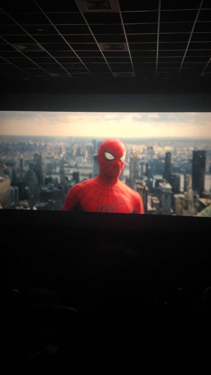 layall22's tweet photo. 🕷️🕸️😽 https://t.co/cpN4FoDJ3G