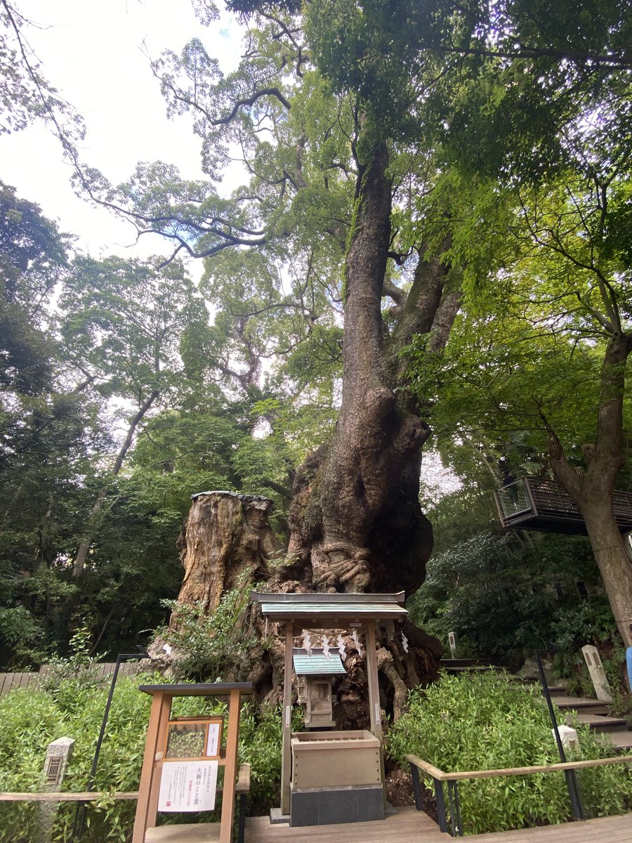 akk_hr00's tweet photo. １泊旅行してきた〜🚗ハピネスチャージ🫶🫶🫶 https://t.co/5Naww2YHGe