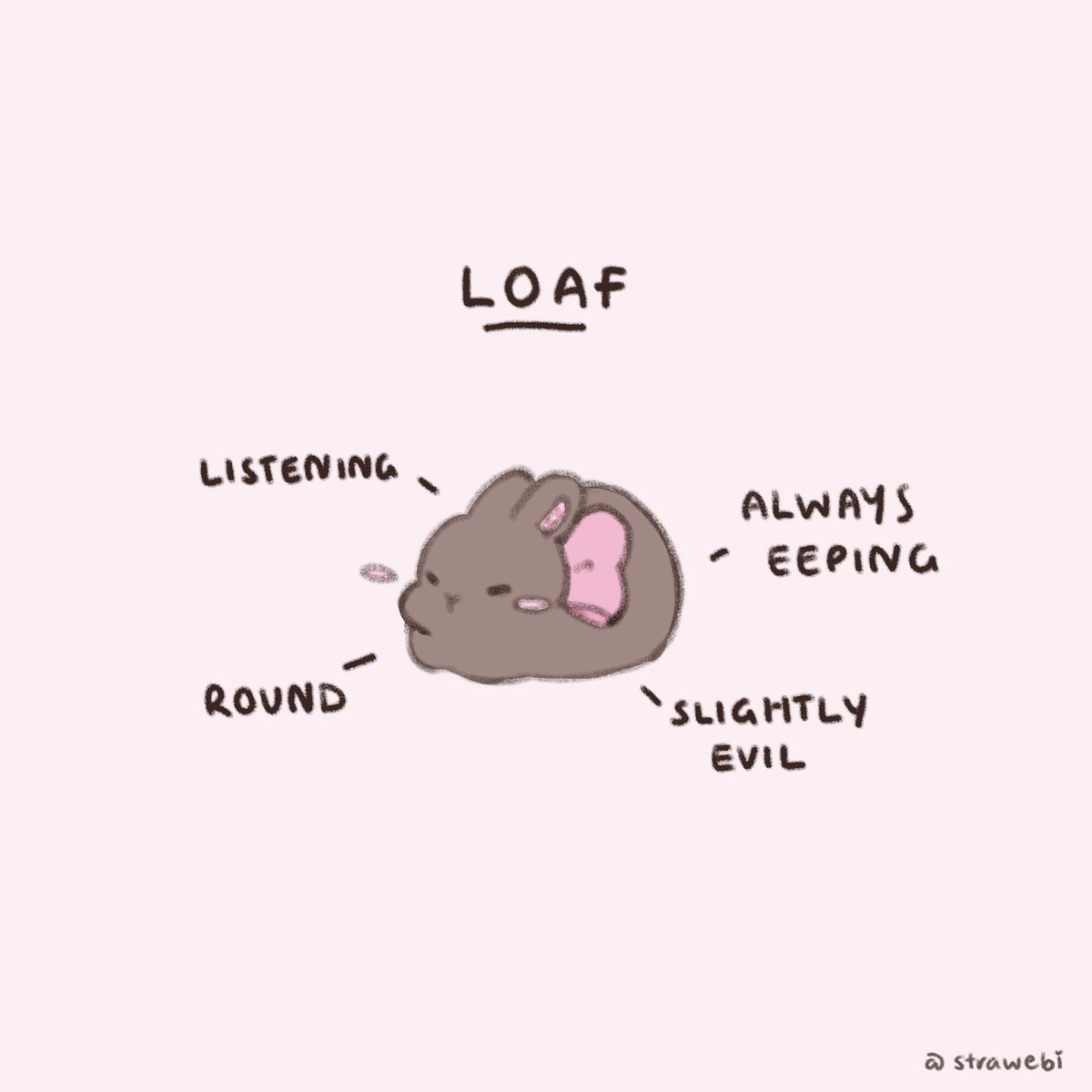 strawebi's tweet photo. loafing around https://t.co/EEqSvMYm7s