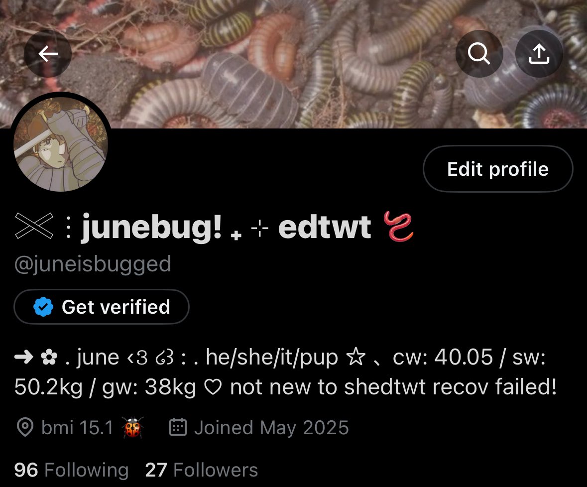 missfiftyy's tweet photo. this used to be me !!!! pls add me if we used to be friends (＞人＜;) . . i am back for like the 4th time 

#edtwt #edrtwt #moothunt https://t.co/J4i3WBO8MQ