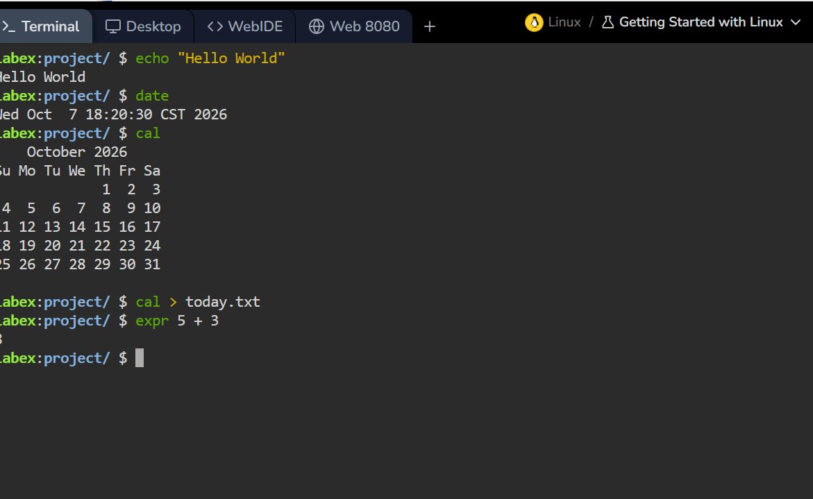 Emmjay212's tweet photo. Day 7/70 🔒

My first hands-on Linux lab on https://t.co/2EzPNhyvqf, and I ran my first real commands:

echo "Hello World" → prints text
 date → shows the date and time
 cal → shows the calendar

Small commands, but the terminal now feels less intimidating. 💻 https://t.co/Ca6aQunhUO