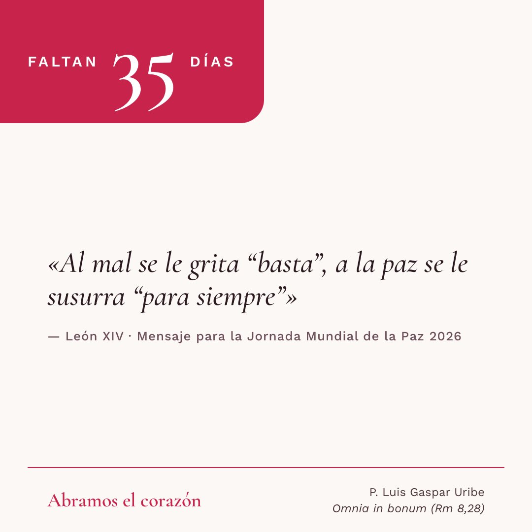 PadreLGaspar's tweet photo. Miércoles 07 de octubre- Faltan 35 días.
Papa Leon XIV vuelve a casa 🇵🇪

«Al mal se le grita “basta”, a la paz se le susurra “para siempre”». León XIV. Hoy, la Virgen del Rosario. 

#ConSantoToribioyLeonXIV #AbramosElCorazón https://t.co/ls3pq5zIao