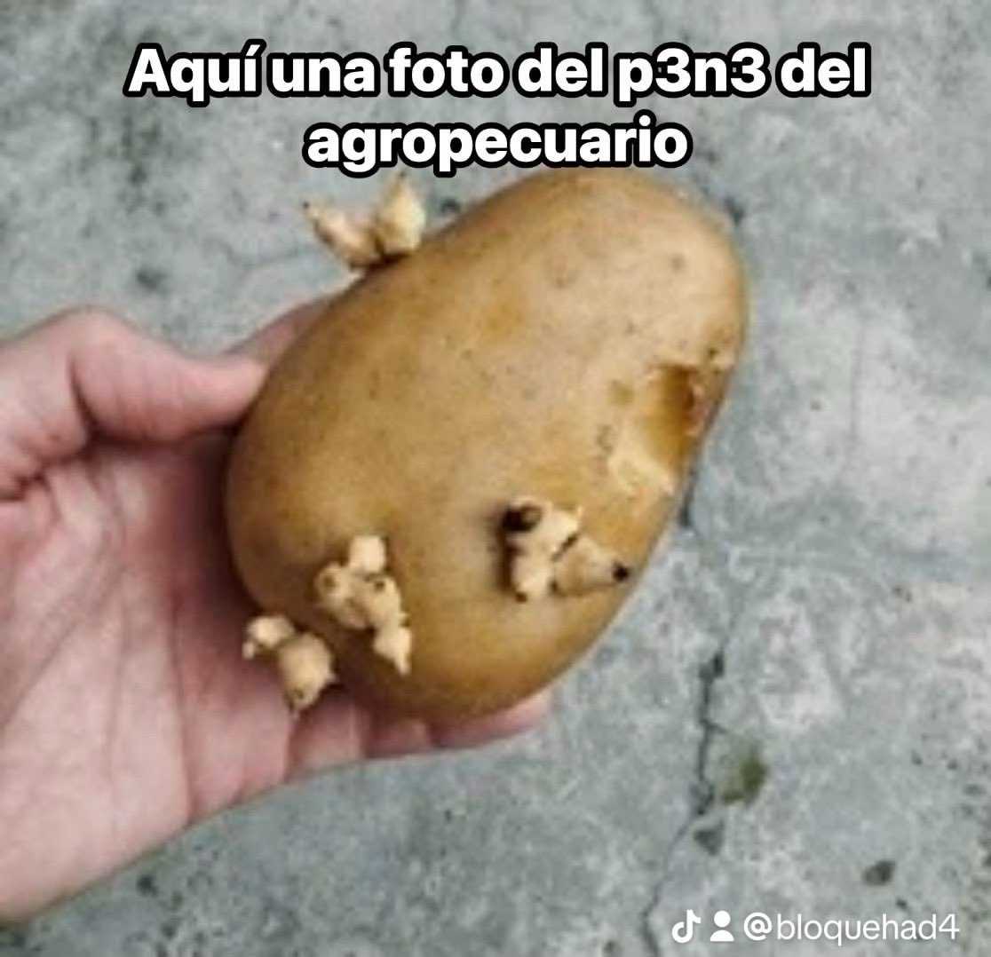 Hadabloqueada's tweet photo. @procrastrinemos 3D https://t.co/Di073sLsge