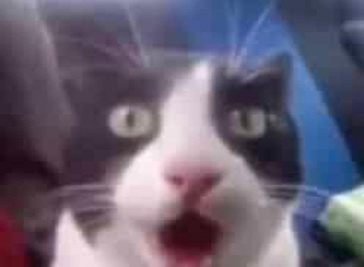 giricodc's tweet photo. @carolyyheart LMAOOOO I genuinely pulled this face at the notification https://t.co/wKUQXobWwg