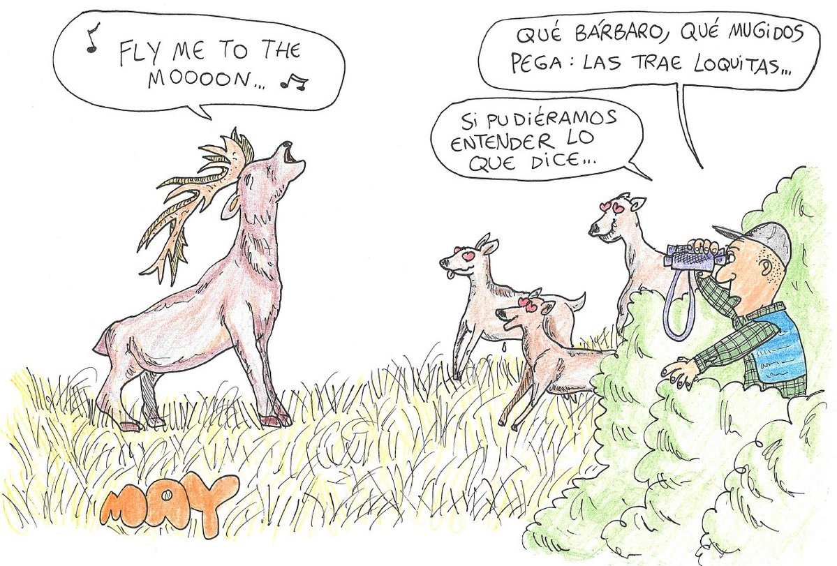 HumorMundoMay's tweet photo. La #berrea es uno de los grandes espectáculos sonoros del #campo español: con el comienzo del #otoño, los #ciervos machos empiezan su competición por las hembras para satisfacer su celo.  

https://t.co/rYIoxbrcIC

#biodiversidad #MundoMay #ecoviñetas https://t.co/sxQwmbWMFX