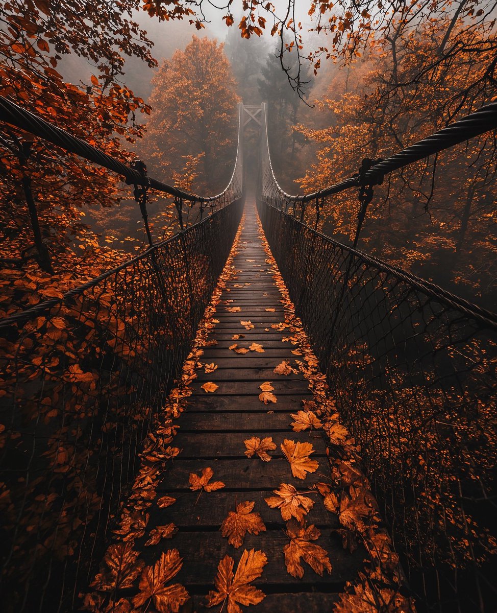 JeanetteEliz's tweet photo. Hello Everyone! 🩷🧡🍂 Have a beautiful day 💞🌸💕🍁 https://t.co/eKSsm1rP93