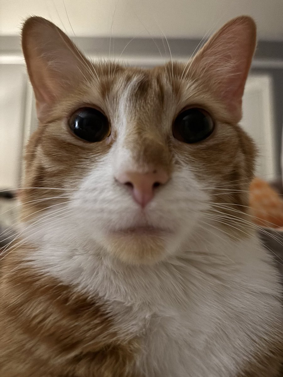 chiikaveh's tweet photo. I'm so fcking scared https://t.co/50JvtU1tQx