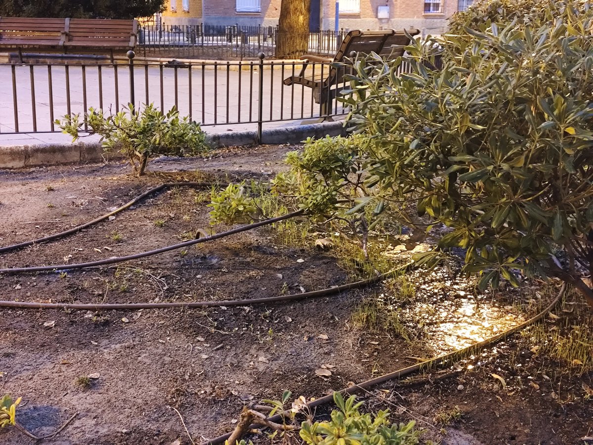 IsmaNogaless's tweet photo. Hola @AytoLeganes @Leganes_MAmb @vbonetatienza este riego por goteo en la zona verde de la Plaza Inmaculada lleva perdiendo agua toda la semana https://t.co/2GNucWebz1
