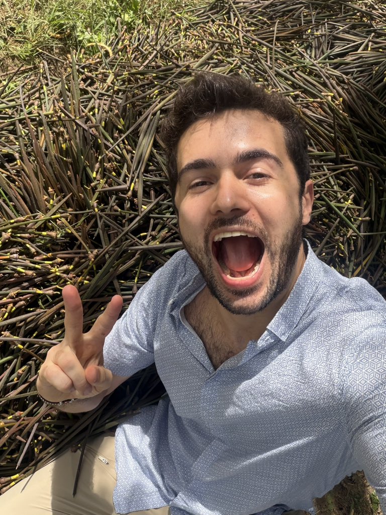 treegens's tweet photo. Whoever guess a how many propagules we collected wins 69.420 $TGN 💚 https://t.co/PBWyCuw49H