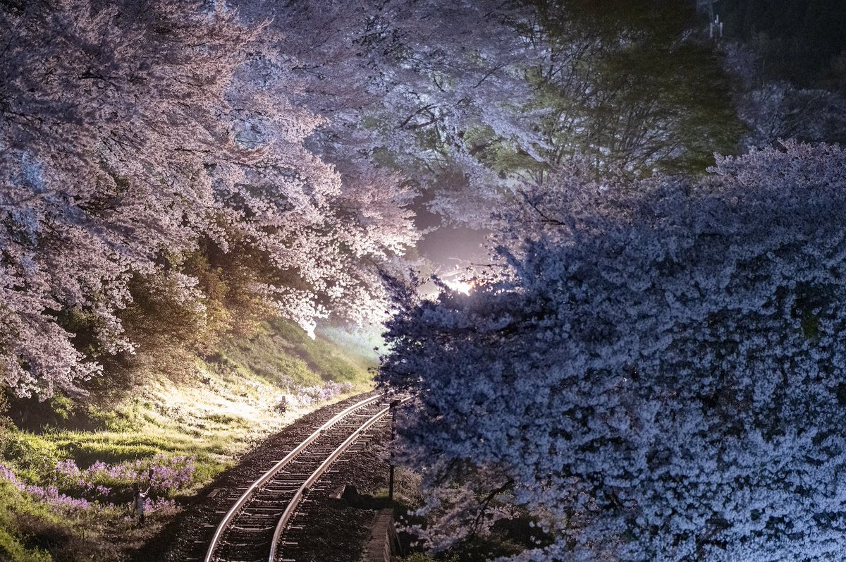 railman_nakai's tweet photo. 【ゆる鉄画廊NOMAD伊勢崎開催】
群馬は花ざかり

両毛線、上信電鉄、わたらせ渓谷鐵道、吾妻線

https://t.co/1v7hq9Q0oZ https://t.co/zpdVntOrGT