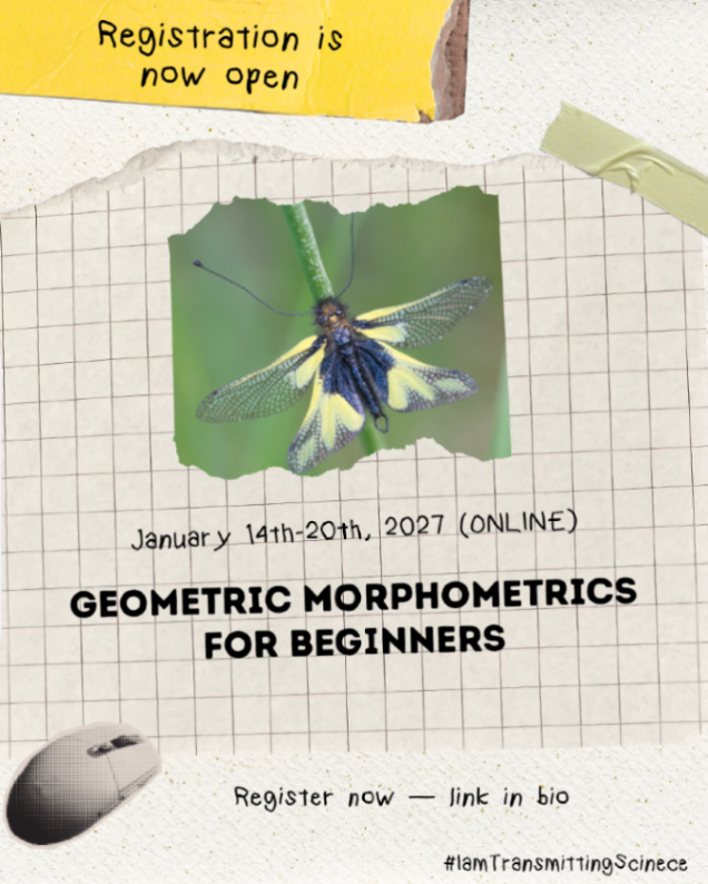 TransmitScience's tweet photo. 📣 Registration is now open for the course Geometric Morphometrics for Beginners.

https://t.co/v09E5IsESz

#TScourses #KeepLearning #Morphometrics #EvolutionaryBiology https://t.co/B9TIj7m6Jv