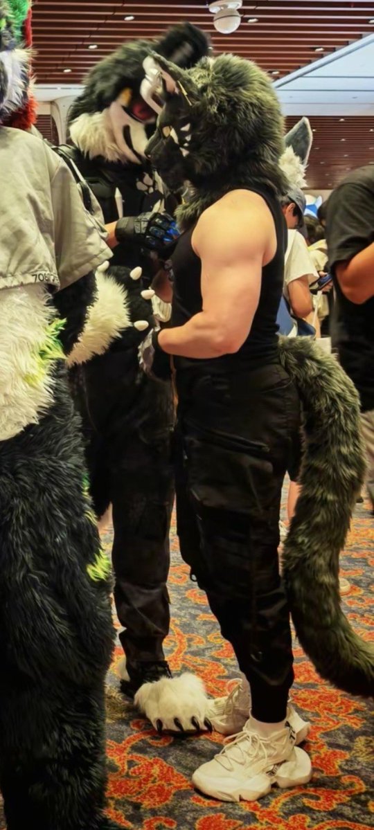 DominationMo's tweet photo. 打卡国庆节参加了hifurry
p3为别人拍照意外拍到我被人摸 https://t.co/pe8yCKW1aR