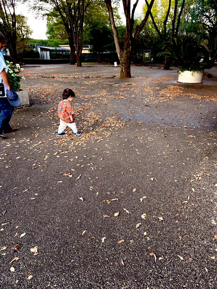 otonaniwa's tweet photo. 秋の散歩 https://t.co/oM7F16pit9