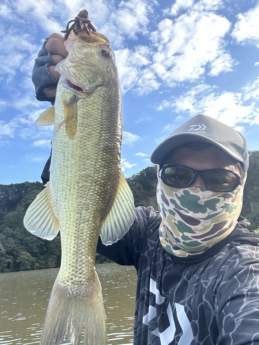 phvmyv's tweet photo. 本日の三島湖
本日は錚々たるプロの方が三島湖に集結！キャストしている姿もやっぱりカッコいい😎👍
お邪魔にならないように、細々と吊るしとヘビキャロで9本🐟最大52🫡

#三島湖
#ともゑボート
#房総リザーバー https://t.co/vlx7IMFEKs