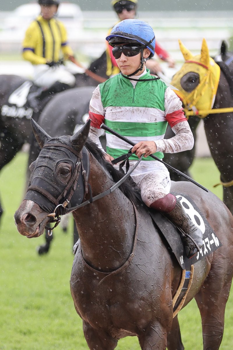 INONECO0706's tweet photo. 出資者さんに届くと良いな😊
2026年10月4日
京都競馬場9R 大原ステークス
#ヴィスマール②
#キャロットクラブ https://t.co/7OuMGcZ0F2