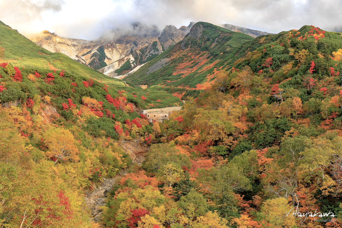 hayakawa0622's tweet photo. 北海道の屋根、十勝岳連峰に広がる秋の絶景。
#十勝岳温泉 https://t.co/OhKz6GnhNA