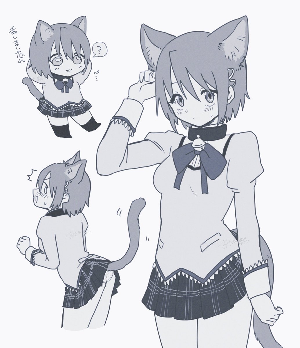 ottogasukida's tweet photo. さやかちゃん🐱 https://t.co/dBUCmN0RmG