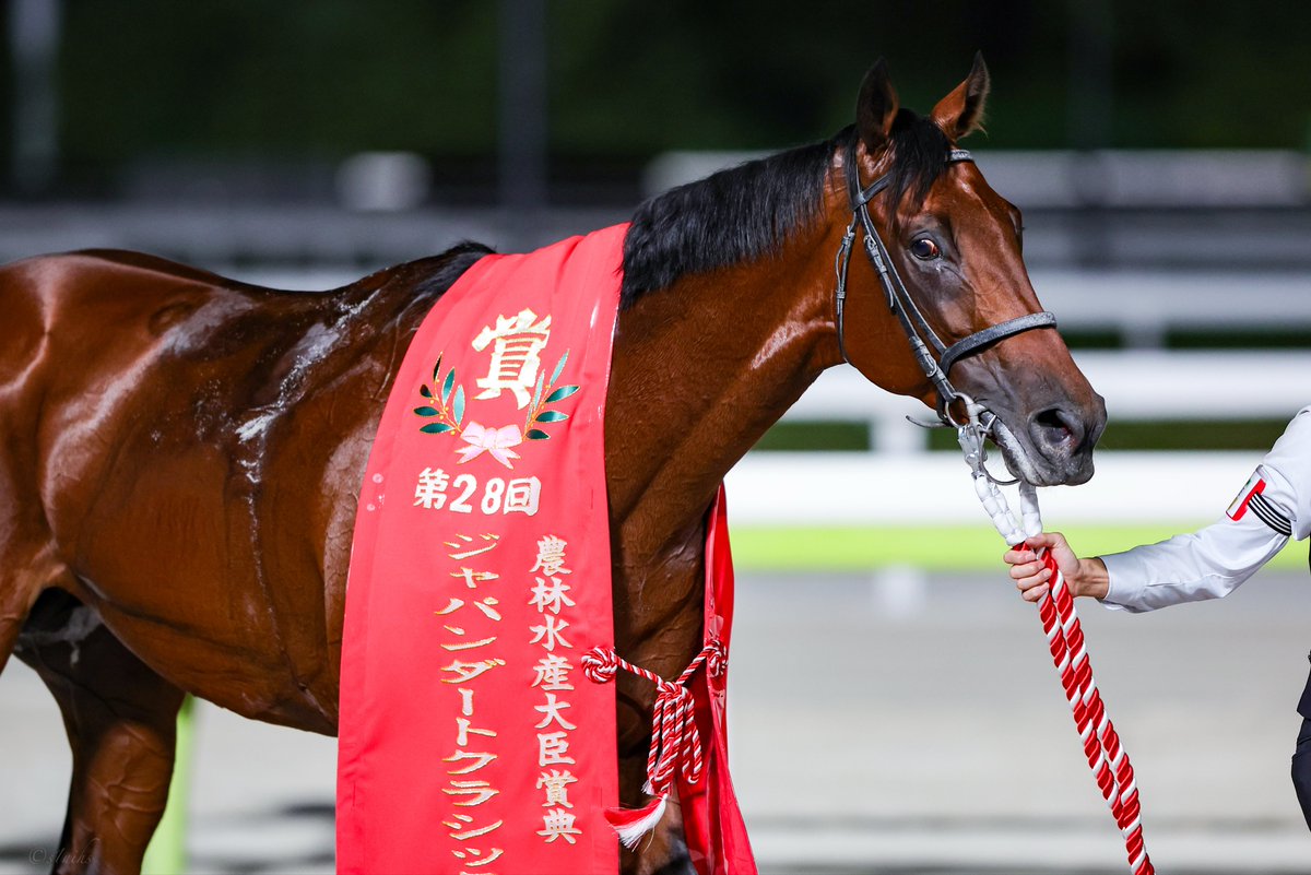 s1nihs's tweet photo. 2026.10.7 大井11R 
#ジャパンダートクラシック 
優勝 #シルバーレシオ #横山武史 騎手
乗り替わりも一発回答！！！
見事な差し切り勝利🏆 https://t.co/vbRnuz8iSz