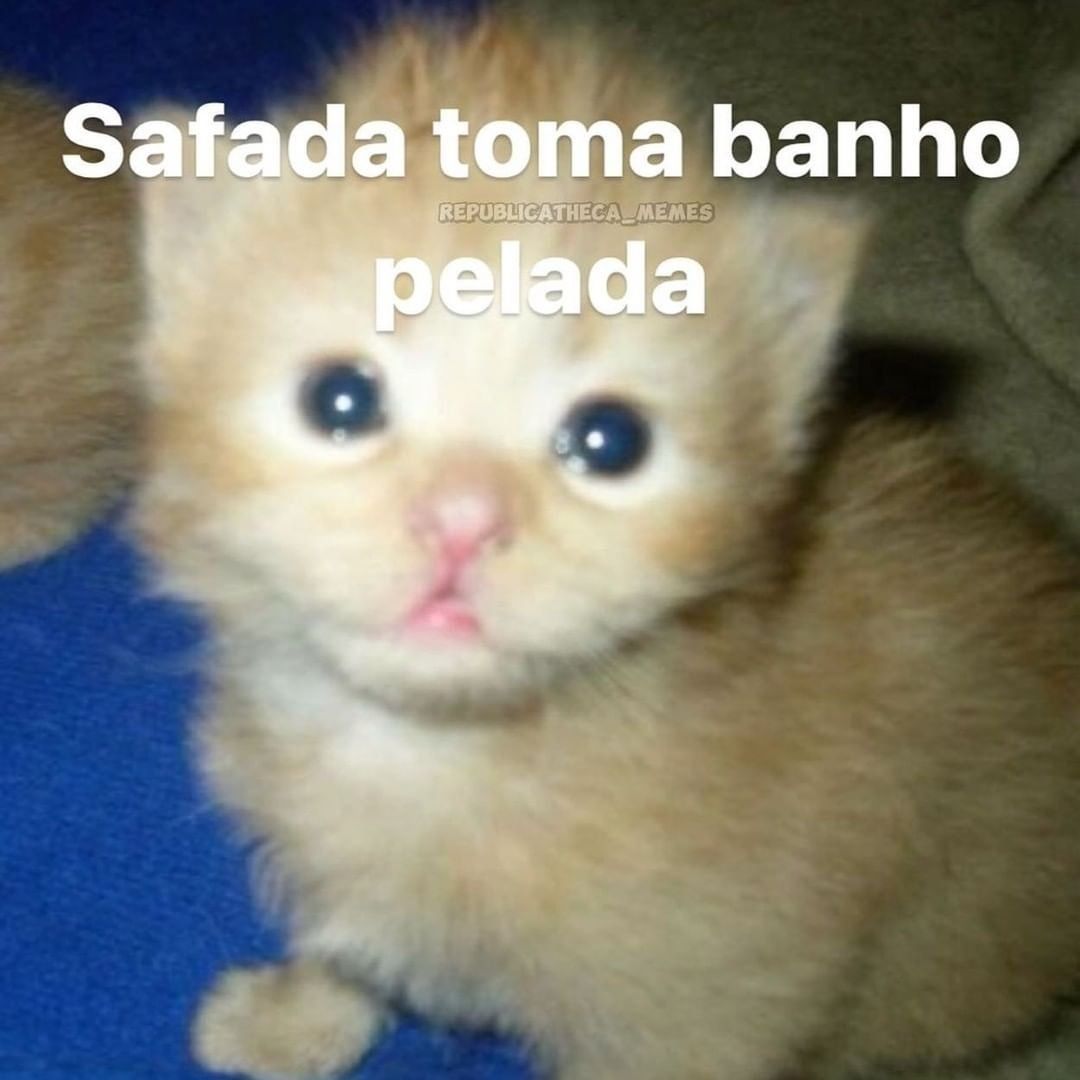 AnaliseDeCalvos's tweet photo. https://t.co/bjNOk1V6ej
