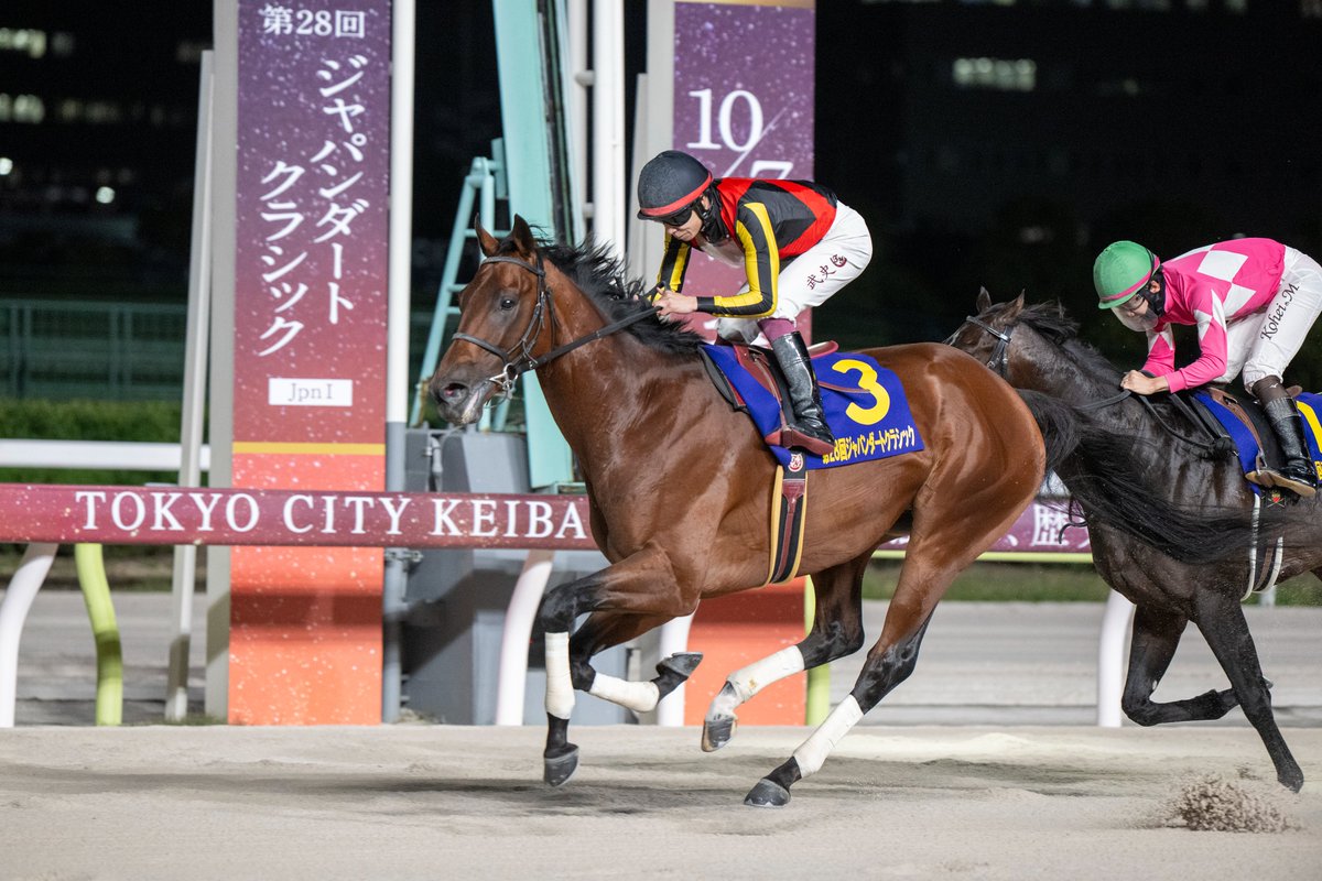 tck_keiba's tweet photo. 第28回 #ジャパンダートクラシック (JpnⅠ) の優勝馬は、#JRA の #シルバーレシオ(#横山武史 騎手/#野中賢二 厩舎)🏆
#岩田望来 騎手の代打で騎乗した横山武史騎手とのコンビで、東京ダービーの雪辱を見事 #JDC にて果たしました👏
関係者の皆様、本当におめでとうございます🎊
#TCK #TW40 https://t.co/FUUZC7HFr2