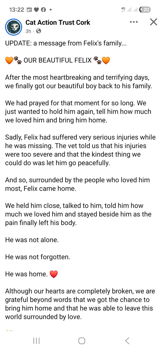 catlowry54's tweet photo. #Felix had to be pts after he was stolen a few days ago by two people. At least he passed with his family &amp; he made it home. What are we going to do about this out of control pet theft when there are no consequences. https://t.co/rSCfwcdZYs