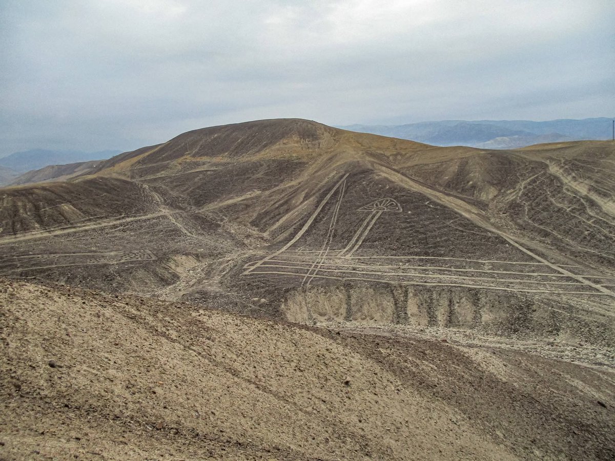 EDICIONESREGION's tweet photo. El geoglifo El Tupu (también conocido como El Tumi) es una figura arqueológica situada en el distrito de Río Grande y en el sector de Los Molinos, en la provincia de Palpa (Ica, Perú), dentro del circuito de las Líneas y Geoglifos de Nasca y Palpa.

Descripción y Forma

• Apariencia:
Tiene la forma de un gran alfiler o prendedor (tupu) que las mujeres prehispánicas usaban para sujetar sus mantas y vestimentas (llicllas o capas).

• Otros nombres y similitudes:
También se le ha llamado "El Tumi" por su parecido visual con el cuchillo ceremonial de las culturas prehispánicas (como Lambayeque o los incas), con un instrumento de trepanación craneana, o con una flecha con punta de obsidiana que podría simbolizar un cetro de mando.

• Construcción:
Está trazado sobre el terreno mediante la técnica de acumulación de piedras y la delimitación o limpieza del espacio circundante.

• Entorno:
Se encuentra vinculado a líneas y trapecios en un paisaje que, según investigaciones arqueológicas, estuvo relacionado con rituales de fertilidad y el culto al agua en una época en la que la zona era fértil y contaba con manantiales.

Antigüedad

• Cronología:
Las investigaciones (como las de los arqueólogos del Ministerio de Cultura / Johnny Isla) lo sitúan cronológicamente hacia el inicio de la época Nasca (aproximadamente en el año 100 a. C.), perteneciendo a una tradición más antigua que entronca con el final del periodo Paracas.

SC César