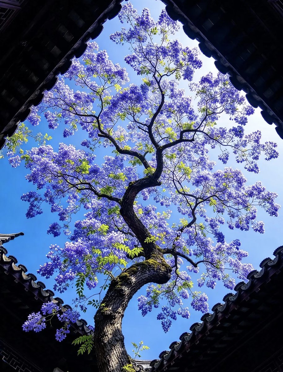 naturehealyou's tweet photo. https://t.co/ZnIHxvi4NV
