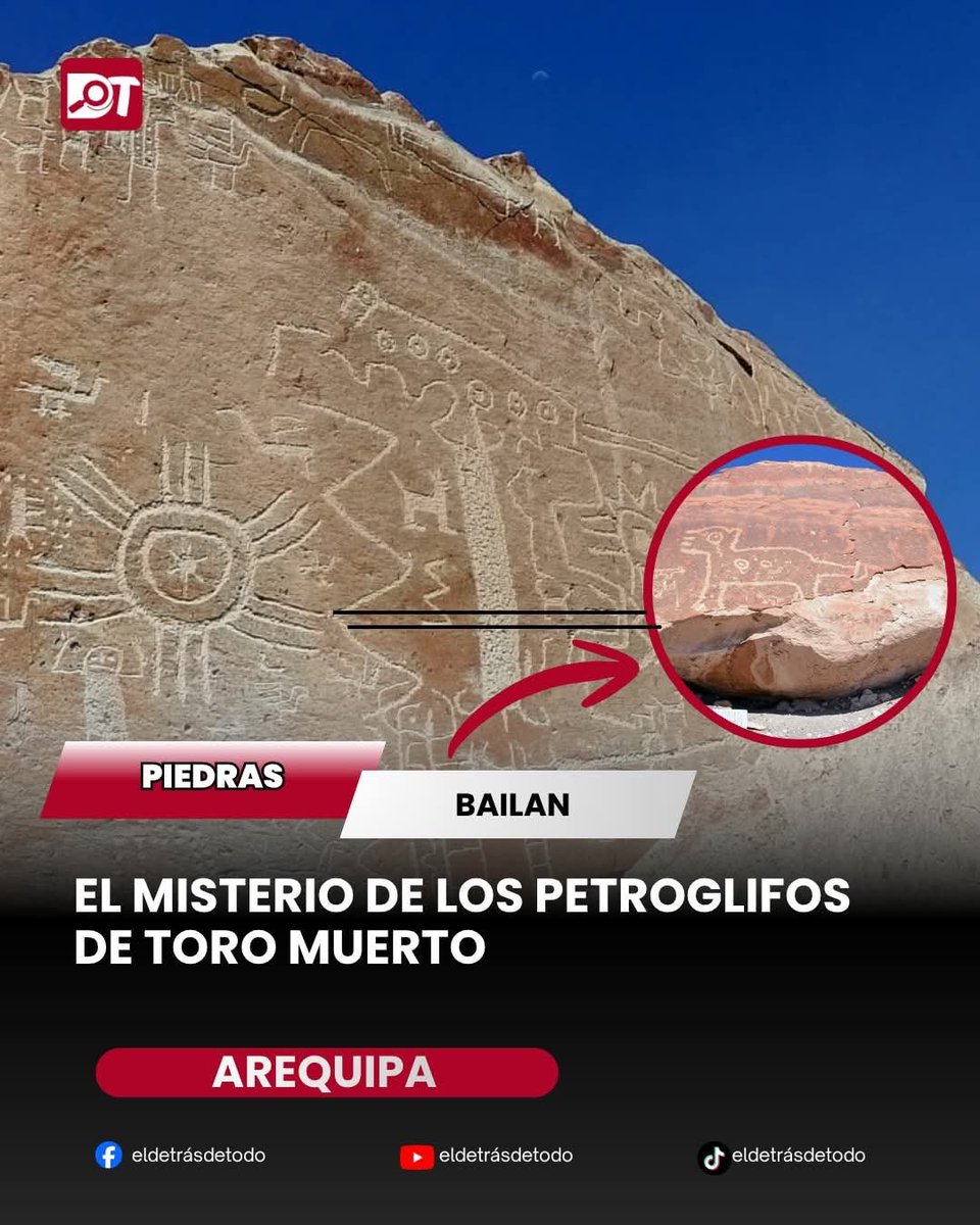 EDICIONESREGION's tweet photo. 1/2
El desierto donde las piedras bailan:
El misterio de los petroglifos de Toro Muerto

En medio del desierto de Arequipa existe un lugar donde las piedras parecen guardar una historia escrita hace más de mil años.
No hay grandes edificios ni monumentos de oro, solo miles de rocas volcánicas cubiertas con imágenes que muestran personajes, animales y símbolos cuyo verdadero significado todavía sigue siendo un misterio.

Este lugar es Toro Muerto, uno de los conjuntos de petroglifos más impresionantes de Sudamérica.
Se encuentra en el valle de Majes, en el distrito de Uraca-Corire, provincia de Castilla, Arequipa, donde el paisaje árido conserva una de las mayores colecciones de arte rupestre del antiguo Perú.

Sobre enormes bloques de ignimbrita, una roca volcánica formada por antiguas erupciones, los habitantes prehispánicos grabaron escenas que han sobrevivido al paso de los siglos.
El clima seco de la región permitió que estos mensajes de piedra permanecieran visibles hasta nuestros días.

Toro Muerto contiene miles de grabados distribuidos en una extensa zona del desierto.
Algunos registros arqueológicos hablan de más de 2.000 bloques con petroglifos, convirtiéndolo en uno de los sitios de arte rupestre más grandes del continente americano.

Pero la gran pregunta sigue siendo:
¿quiénes hicieron estos dibujos y qué querían comunicar?

Los investigadores consideran que fueron creados por sociedades andinas que habitaron el valle de Majes antes de la expansión del Imperio Inca. Su elaboración estaría relacionada con periodos prehispánicos como el Desarrollo Regional y la influencia cultural Wari, aunque la fecha exacta continúa siendo estudiada.

Entre las figuras más famosas aparecen seres humanos representados en movimiento.
Algunas parecen estar bailando, levantando los brazos o participando en ceremonias.
Estas imágenes han llevado a los especialistas a plantear que podrían representar rituales religiosos, celebraciones agrícolas o momentos importantes de la vida comunitaria.

Uno de los mayores misterios de Toro Muerto es la presencia de estas figuras danzantes.
¿Eran sacerdotes realizando ceremonias? ¿Representaban fiestas relacionadas con la fertilidad de la tierra?
¿O eran escenas de acontecimientos que hoy ya no podemos interpretar completamente?

Además de figuras humanas, las piedras muestran una gran variedad de animales y símbolos.

Aparecen camélidos, relacionados con la economía andina y posiblemente con prácticas rituales; serpientes, asociadas en muchas culturas andinas con transformación y fuerzas de la naturaleza; y aves, vinculadas al mundo superior y la conexión con lo sagrado.

También existen diseños abstractos cuyo significado se perdió con el tiempo, como si fueran palabras de un idioma antiguo que todavía estamos intentando descifrar.

Para crear estos grabados, los antiguos artistas utilizaron técnicas como la percusión, golpeando la roca con herramientas más duras; la incisión, realizando líneas sobre la superficie; y el raspado, eliminando pequeñas capas de material para formar imágenes.

Cada figura requirió tiempo, paciencia y conocimiento de la piedra.

Pero Toro Muerto no solo sorprende por sus dibujos. El lugar donde fue construido también parece tener importancia.
Se encuentra cerca del río Majes, rodeado por valles agrícolas, montañas y un paisaje desértico que para los antiguos pueblos andinos tenía un profundo significado espiritual.

Algunos investigadores creen que pudo haber sido un espacio ceremonial relacionado con el agua, la agricultura y los ciclos naturales.
Otros plantean que pudo funcionar como una ruta simbólica donde diferentes grupos dejaron sus mensajes en piedra.

Aunque existen teorías sobre posibles relaciones astronómicas o calendarios agrícolas, muchas de estas interpretaciones todavía son motivo de debate.

Hoy, Toro Muerto enfrenta amenazas como la erosión natural, el vandalismo y la acción humana.