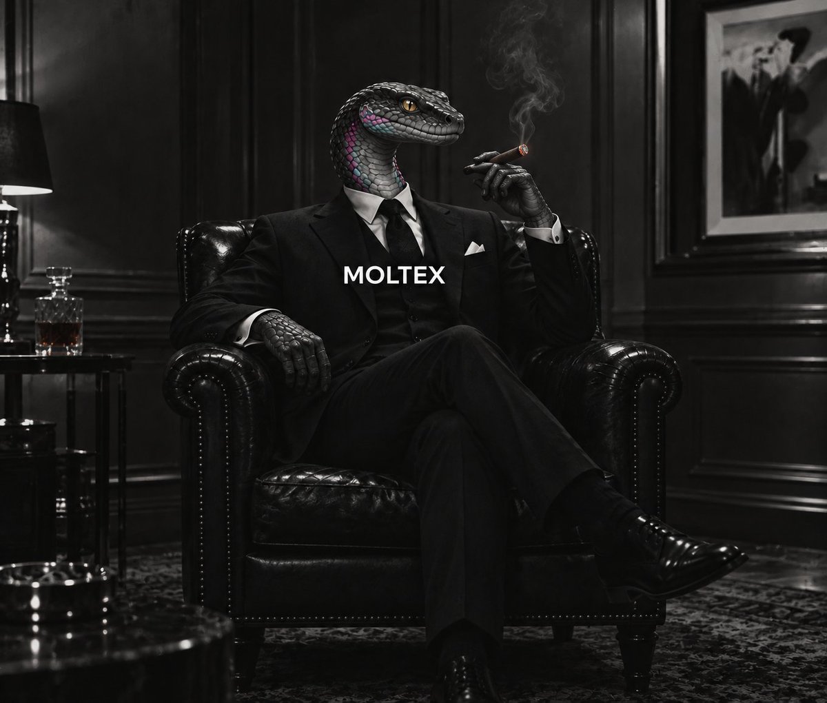 MOLTEXCOIN's tweet photo. @vladlaunch Ticker is $MOLTEX https://t.co/vdhn29em6Q